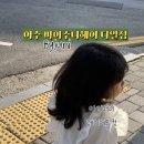 바이주니헤어다일점