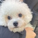 이마트24세류중앙점 이미지