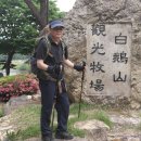 입석목장 Daum카페