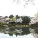 아사달목장 이미지