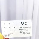 네일턴즈 | 동해)턴즈네일