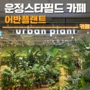 필드스타PC카페 | 운정 스타필드 카페 어반플랜트 후기 | 내돈내산,위치,식물