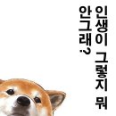 작년 23살 모쏠이라고 했던 바미에요^^ 이미지