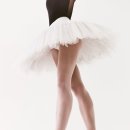 체형교정 성인발레 이미지