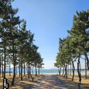 고래불쉼터 이미지