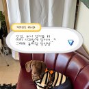 신약국 이미지