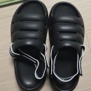 에버로즈 | 호주어그 에버 에그 로즈라인 내돈내산 후기