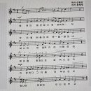 진부초등학교 이미지