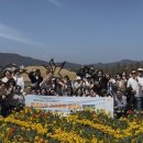 한국국제의료(주) 이미지