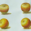 풀꽃화실