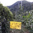 (주)마이크로자임 이미지