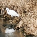 향교농장 이미지