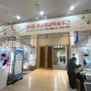 색연필화(주간) 이미지