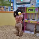 트램펄린 카페 방방 티스토리