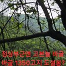 백두카페 티스토리