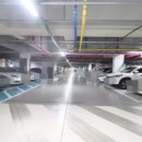 세천강변 이미지