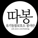 웰니스 지 이미지