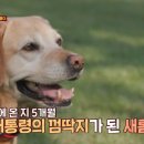 선례농장 스포츠서울