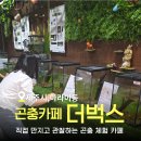 벅스 | 제주 시내 아이와 실내 체험 추천 곤충 카페 더벅스 후기