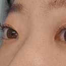 예담뷰티
