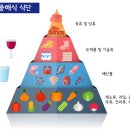 영양사이야기