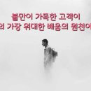 꽃피는하루