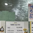 24. 한국 부산 해운대온천 송도탕