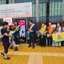 서흥초등학교 이미지