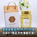용늪농원 | 피로야 가라! 용늪꿀벌농원 아카시아꿀 2.4kg, 꿀맛 같은 활력 충전!