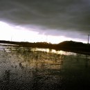 신활농장 이미지