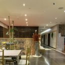 도그도마 이미지