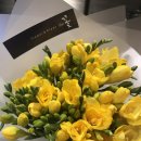 양덕동192 이미지