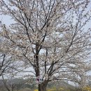 영주스테이 이미지