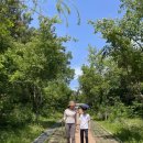 바다로 가는 길목 | 경기도 안산 선감도 바다향기수목원 나들이 후기