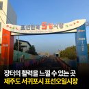 표선면 표선리 재활용 도움센터 | 장터의 활력을 느낄 수 있는 장소 추천 제주 표선오일장
