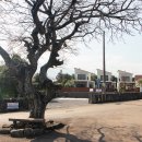 또또펜션 이미지