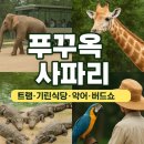기린농장 | 푸꾸옥 사파리 입장권 트램 버스 투어 버드쇼 악어 기린식당 후기