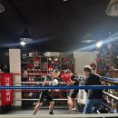 더블B복싱클럽 이미지