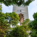 대공원대로, 대공원광장대로 이미지