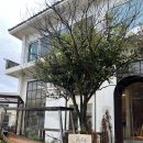 해화탕건물 이미지