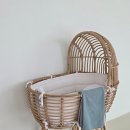 하엘 | 동탄 아기사진 가족사진 자연광 스튜디오 <하엘스튜디오> 방문후기