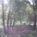 백상어린이집 이미지