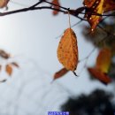 매봉약수 이미지