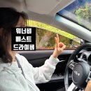 크로스핏 돌멩이 | 2박3일 재즈의 본고장 제주도 한번 가보실게요
