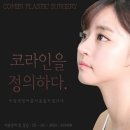 예쁜미인성형외과의원 네이버블로그