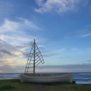 오션트리 이미지