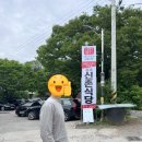 신촌1리 | 청송 블루리본 맛집 원조신촌식당 후기｜육식맨 보고 달려가 먹은 닭불백숙세트!