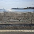 솔라공인중개사사무소 이미지