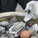 이마트24 강서신화곡점 | 화곡동 맛집 굴맛집 굴구이 굴찜 통영굴구이 후기