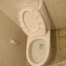 대영빌딩 5층 화장실 | 재예약율 98%! | 동작구청소업체 사당빌딩청소 창문청소 화장실청소 곰팡이 제거